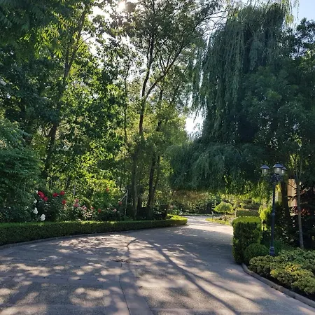 Bogdanov لوزينيتس