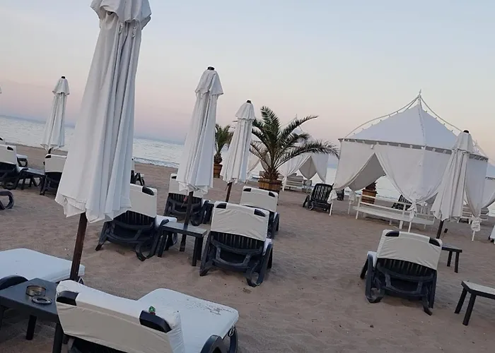 Bogdanov 아파트 *