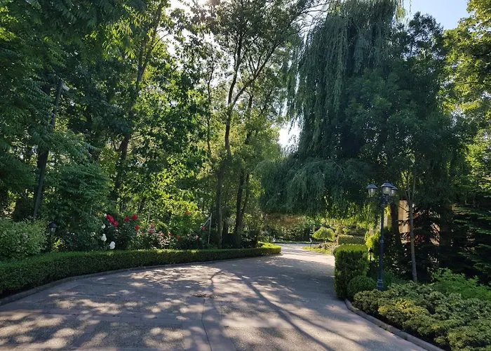 Bogdanov 로제넷츠