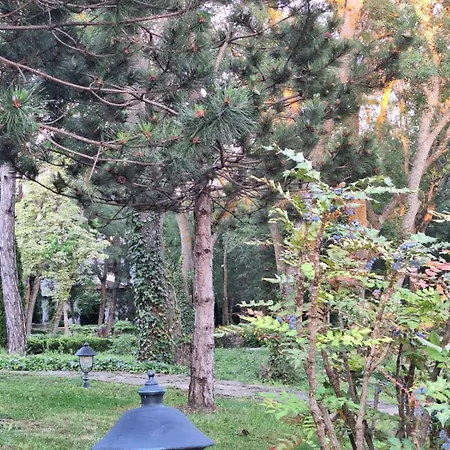 Apartament Bogdanov