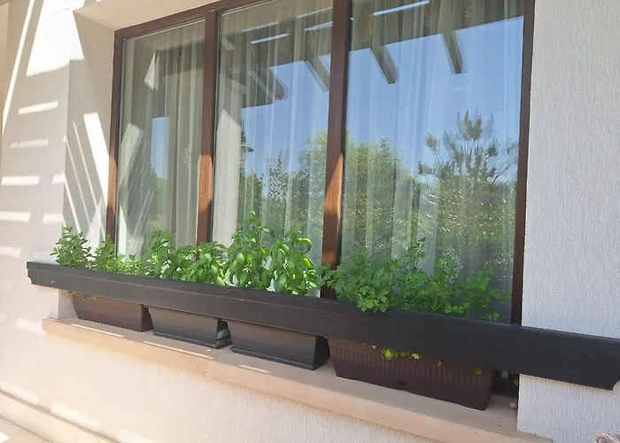 Bogdanov Апартамент